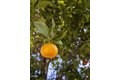 Additional image 11 of 6375 Adelaide Pl, Los Angeles, CA, 90042