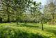 Additional image 43 of Pound Lane, Uplyme, Lyme Regis, Devon, DT7