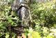 Additional image 19 of Mount Ambrose, Redruth TR15