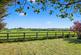 Additional image 29 of Wall Hill Road, Corley, CV7