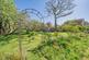 Additional image 23 of Chantry Heath Crescent, Knowle, B93