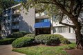 Additional image 27 of 1818 Metzerott Rd, Adelphi, MD, 20783