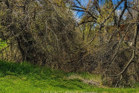 Additional image 6 of 0 Maple Ridge Drive, Kawartha Lakes, ON, K0L 2W0