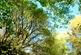 Additional image 12 of Adhamh Wood (just under 4 and a quarter acres), Benderloch, Oban, Argyle & Bute PA37