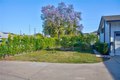 Additional image 29 of 11443 Debra Ave, Granada Hills, CA, 91344
