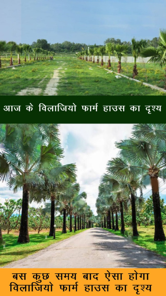 Mohanlalganj, Lucknow photo 3
