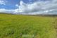 Additional image 58 of Capel Iwan Road, Newcastle Emlyn, SA38