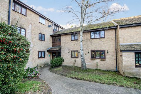 Briar Court, Norwich NR5