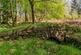 Additional image 43 of Kilmorie House, Killearn G63
