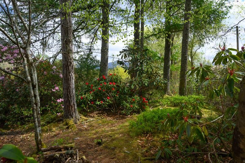 Additional image 18 of 4 bed detached house for saleArdgour, Fort William, Highland PH33