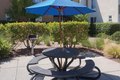 Additional image 10 of 1240 Shaffer Rd, Santa Cruz, CA, 95060
