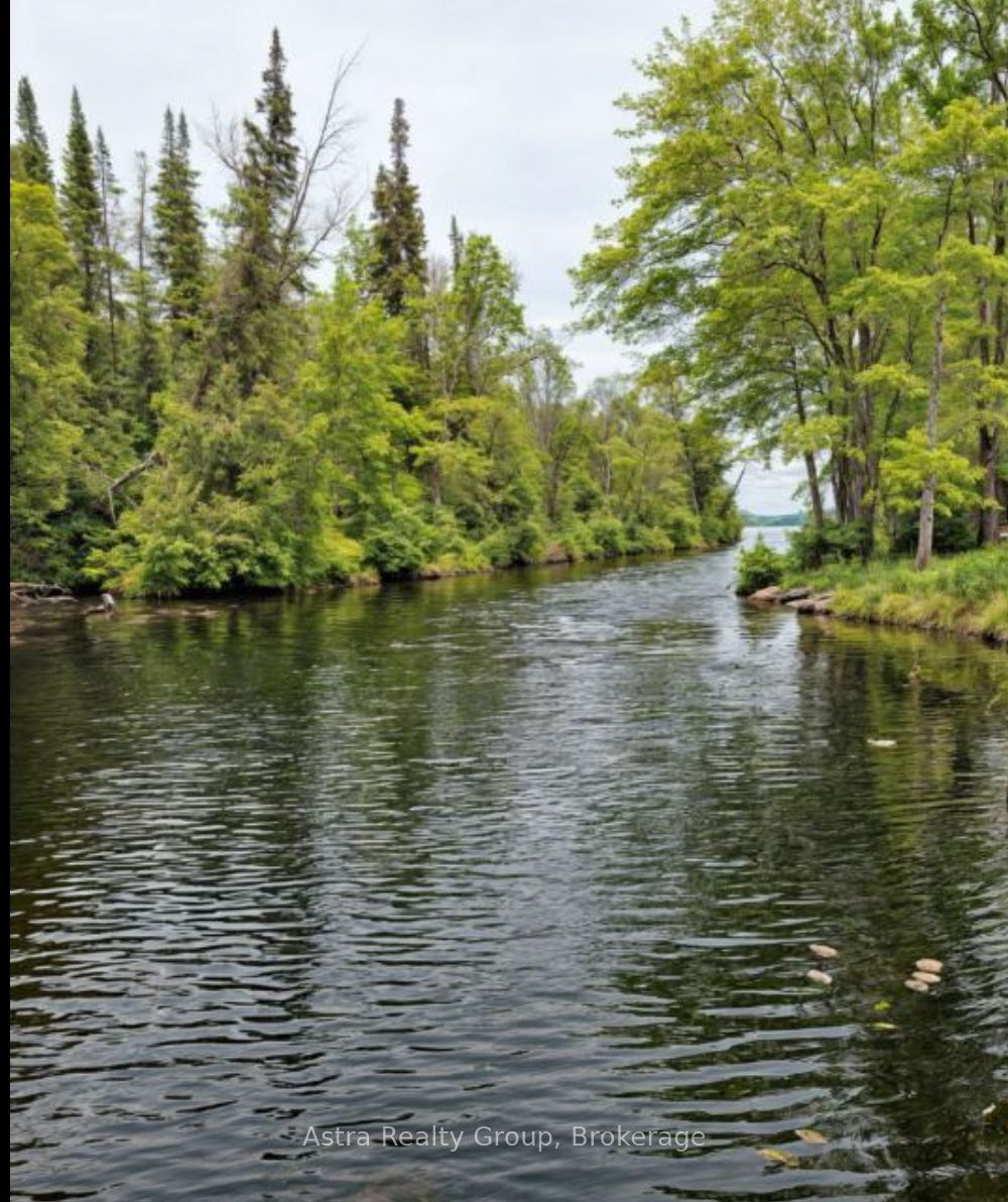 Additional image 4 of 21 Sackitt Road, Kawartha Lakes, ON, K0M 1N0