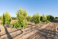 Additional image 8 of 21978 Avenue 144, Porterville, CA, 93257