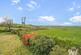 Additional image 23 of Manor Park, Duloe, Liskeard
