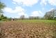 Additional image 20 of School Lane, Brimfield, SY8
