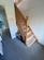 Additional image 26 of Priory Avenue, Bridgend CF31