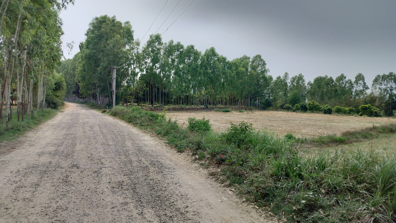 Biharigarh, Dehradun