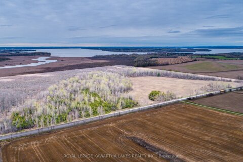 Additional image 9 of 890 Ramsey Road, Kawartha Lakes, ON, K0M 2C0