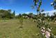 Additional image 21 of Primrose Hill, Kings Langley WD4