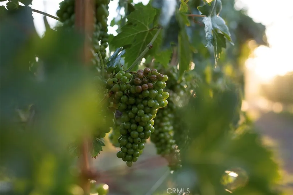 Additional image 62 of 766 Westside Rd, Healdsburg, CA 95448