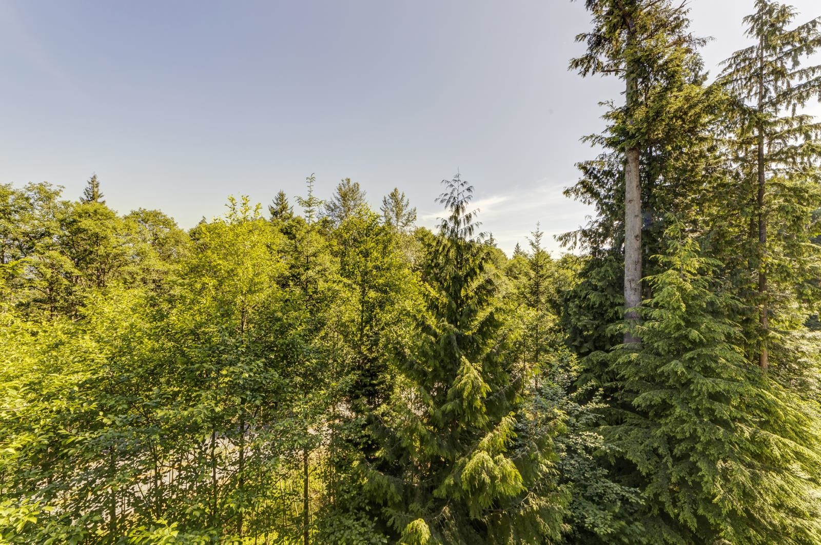 Additional image 5 of 1xx-9060 University Crescent, Burnaby, BC, V5A 0E1