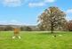 Additional image 23 of The Michaelchurch Estate, Michaelchurch Escley, Hereford, Herefordshire