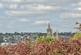 Additional image 13 of Trewidden Close, Truro
