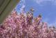 Additional image 38 of 1 Bankfoot Park, Scotlandwell, Kinross KY13 9JP