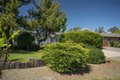 1129 Roy Dr, Oroville, CA, 95965 photo 3
