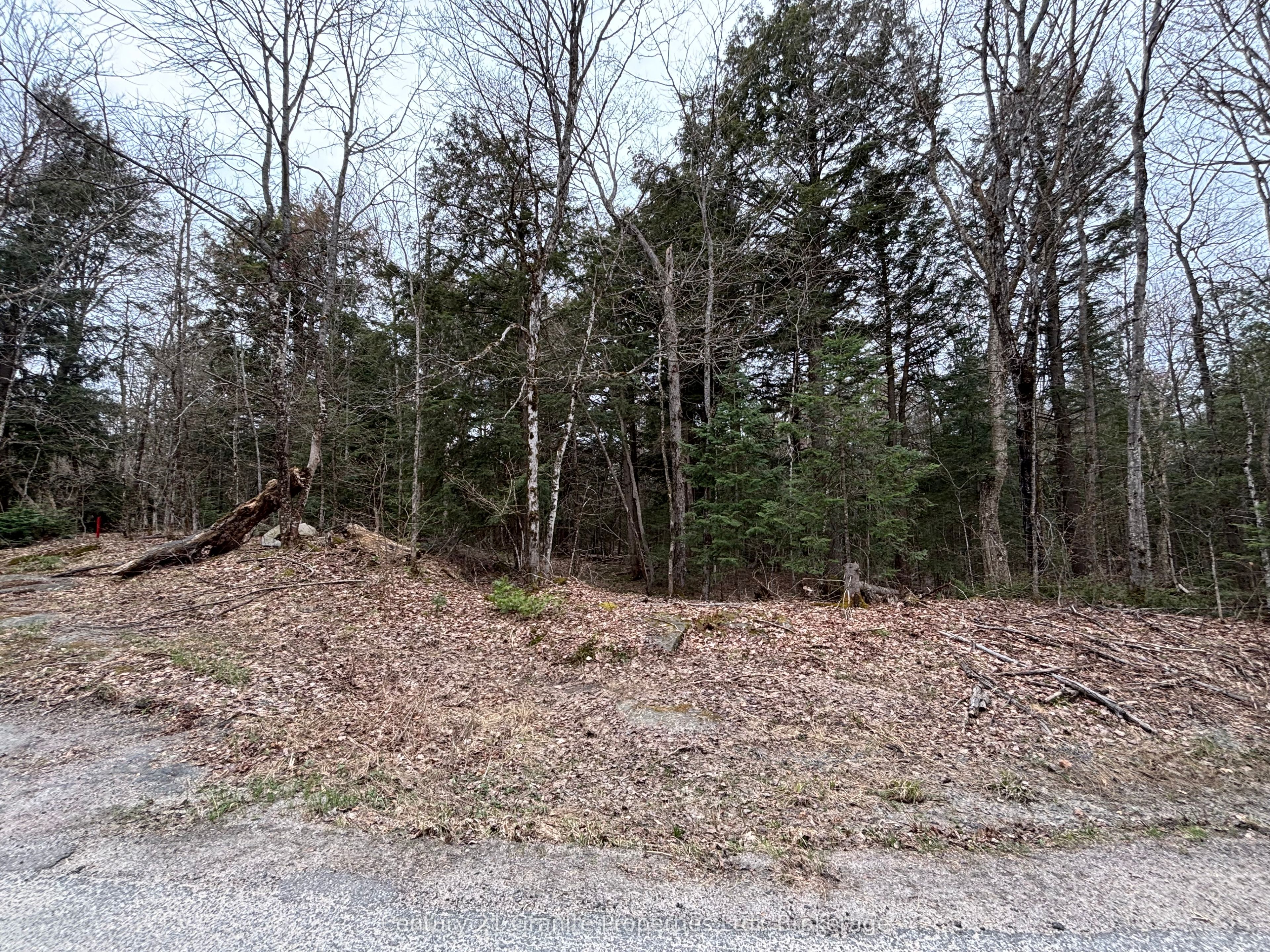 Additional image 6 of Lot 1 Loch Erne Road, Mcdougall, ON, P2A 2W7