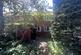 Additional image 12 of 4 Lime Grove, Heywood, OL10 4UL