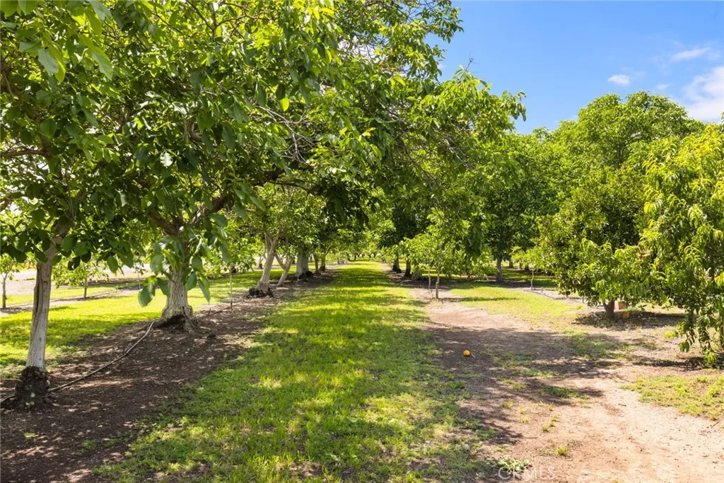 Additional image 33 of 6400 Cana Highway, Chico, CA 95973