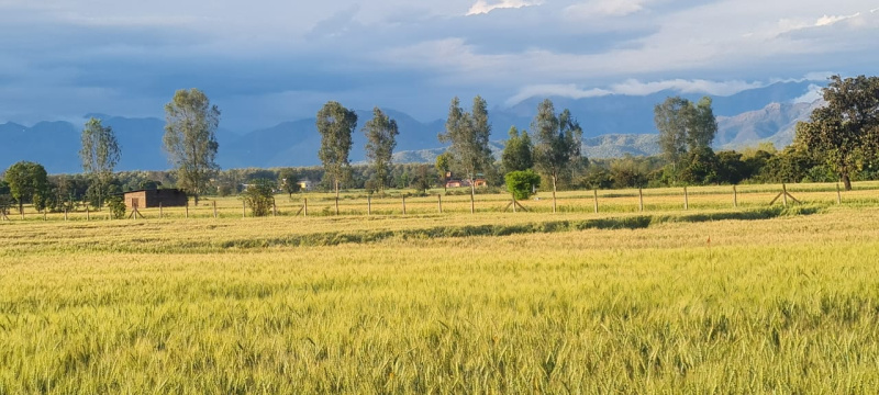 Additional image 3 of Selakui, Dehradun