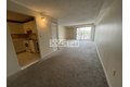 16 Elmer St Apt 502, Cambridge, MA, 02138