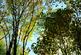 Additional image 10 of Mungo Wood, Benderloch, Oban, Argyle & Bute PA37