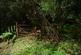Additional image 2 of Mungo Wood, Benderloch, Oban, Argyle & Bute PA37
