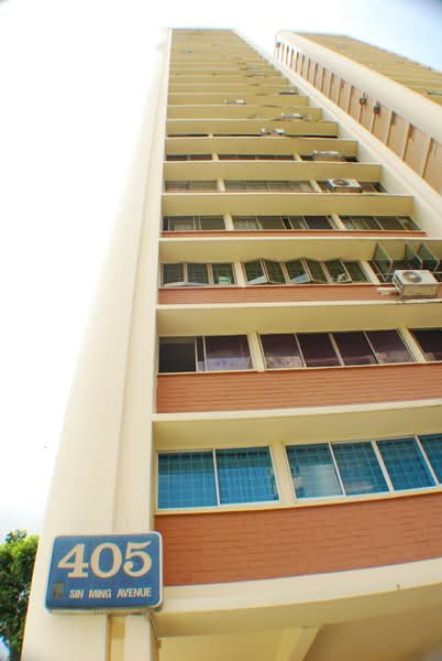 Additional image 6 of 405 Sin Ming Avenue