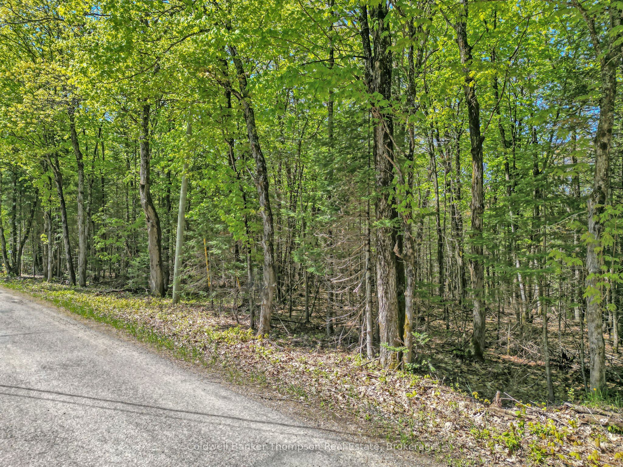 Additional image 5 of 989 North Waseosa Lake Road, Huntsville, ON, P1H 2J4
