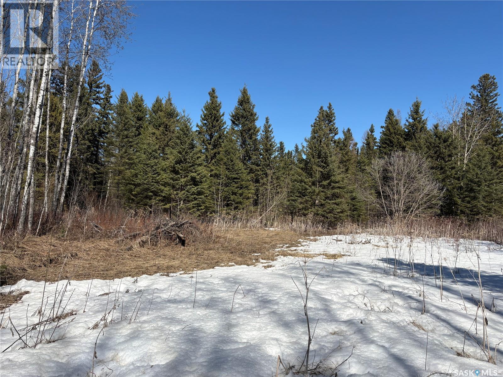 Delaronde Lake 30 Acres Forest