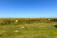 Additional image 4 of New Lydd Road, Camber TN31