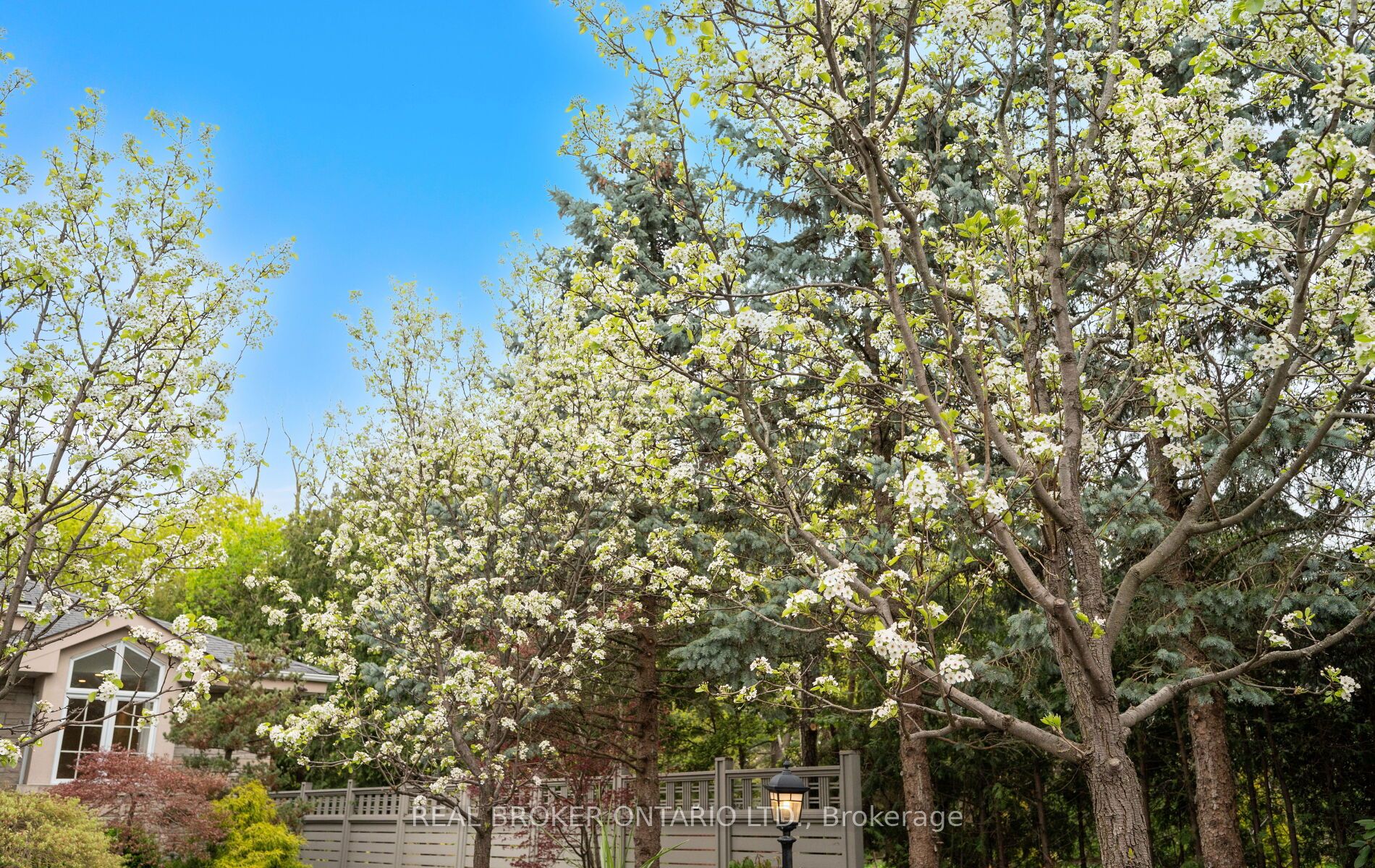 Additional image 6 of 37 Lorraine Gardens, Toronto, ON, M9B 4Z5