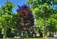 Additional image 10 of Monton Green, Eccles, Manchester, M30
