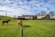 Additional image 45 of Longlands Farm, Lees Hill, Brampton, CA8