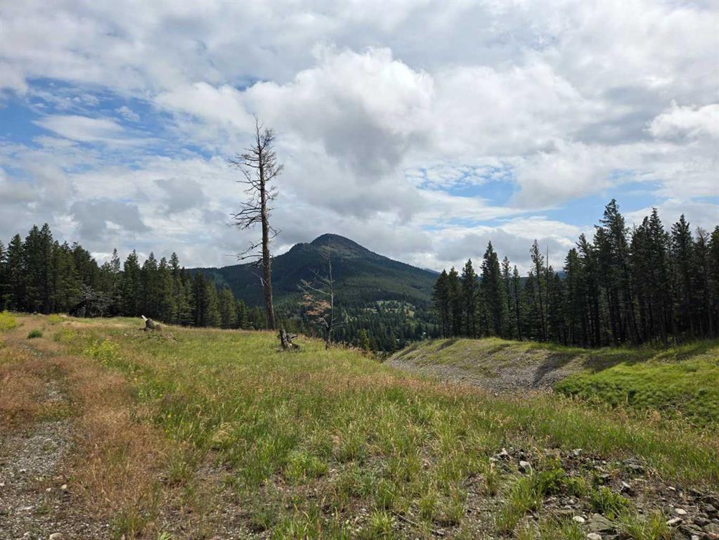 Additional image 3 of #4-5302 19th Avenue, Coleman, AB, T0K0M0