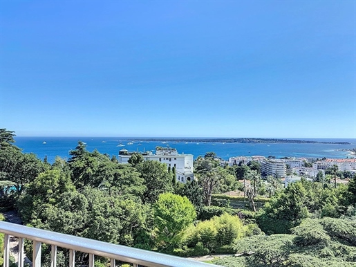 Cannes (Alpes-Maritimes)