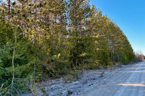 Additional image 8 of Lt 24 Conc Rd 6 Road, Chatsworth, ON, N0H 1K0
