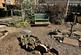 Additional image 12 of Smythe Street, Alyth, Blairgowrie