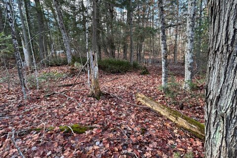 Additional image 8 of 0 Mill Lake Road, North Kawartha, ON, K0L 1A0