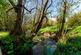 Additional image 21 of Rhulen, Builth Wells, LD2