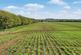 Additional image 18 of The Whole | Sheffield House Farm, Rowston, Lincoln, Lincolnshire, LN4